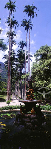  Botanic Garden* - Rio de Janeiro city - Rio de Janeiro state - Brazil  * It is a National Historic Site since 05-30-1938. 