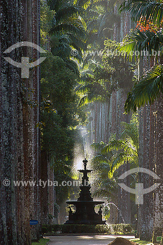  Fountain at Rio de Janeiro city Bothanical Garden - Rio de Janeiro state - Brazil 