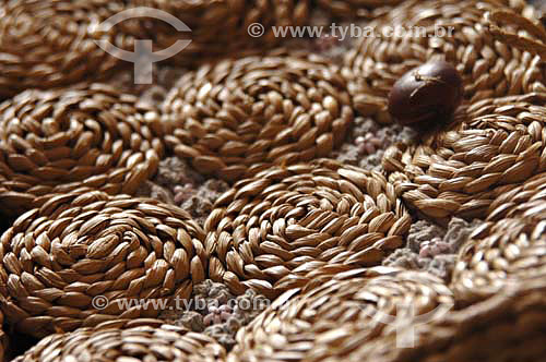  Craftsmanship using Taboa fibers  - Quissama city - Brazil