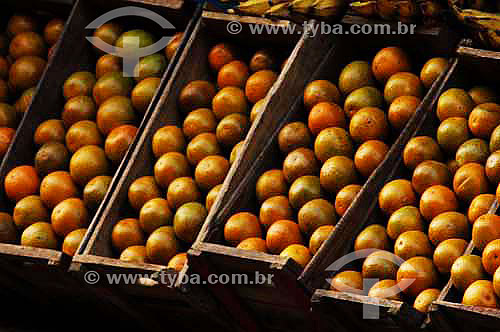  boxes with Oranges - Market - Rio de Janeiro city - Rio de Janeiro state - Brazil - October 2006 