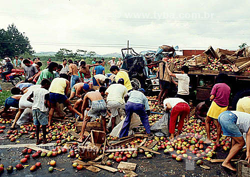  People getting the fruits that had fallen from the  truck during an accident 