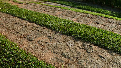  Detail of passage for cars on grass 