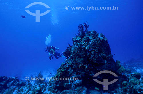  Diver on the ocean 