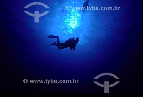  Silhouettes of divers on the ocean 