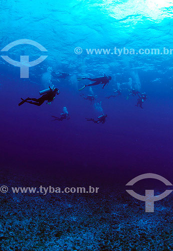  Group of divers - Fernando de Noronha region - Pernambuco state - Brazil - 2007 