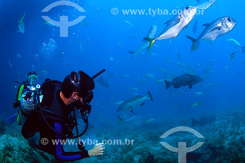  Diver and shoals of fishes - Abrolhos region - Bahia state - Brazil - 2007 