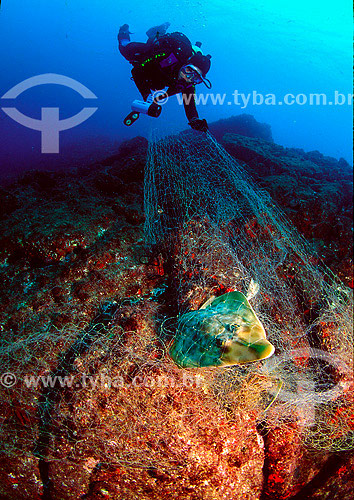  Diver with abandoned fishing net at Buzios coast - Rio de Janeiro state - Brazil 