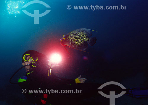  Diver and French Angelfish (Pomacanthus paru) - Abrolhos - Bahia state - Brazil - 2007 