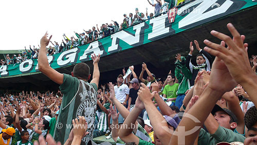 Coritiba Soccer Club fans at Couto Pereira stadium - Curitiba city - Parana state  