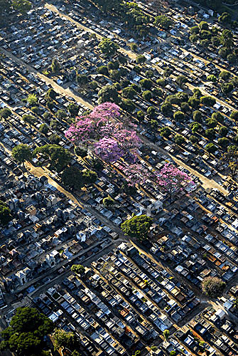  Aerial view of Araça graveyard - Sao Paulo city - Sao Paulo state - Brazil 