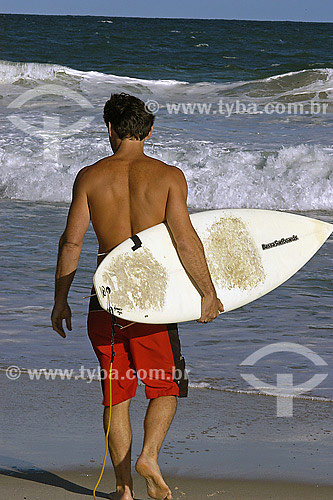  Surfer 