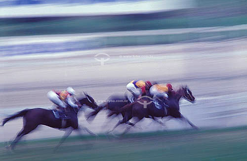  Riding:  Jockey, horse race - Hipodromo da Gavea (also known as the Jockey Club) - Rio de Janeiro city - Rio de Janeiro state - Brazil 