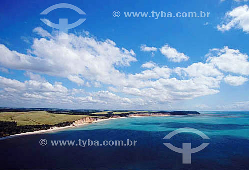  View of the Alagoas Beach - Alagoas state - Brazil 