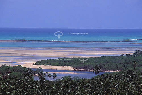  Aerial view of a beach in the north coast of Alagoas state - Brazil 