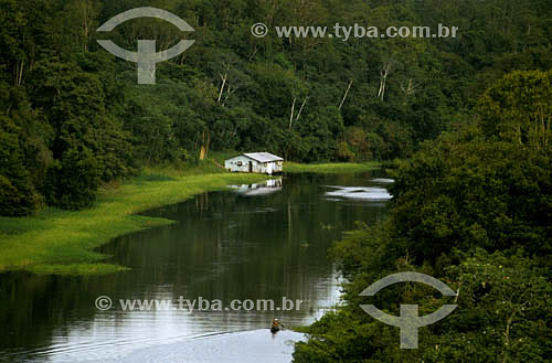  Aerial view, hut on a river bank - Amazonian - Brazil 
