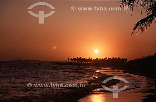  Sunset on Itapoa Beach with coconut trees in the background - Salvador city - Bahia state - Brazil 