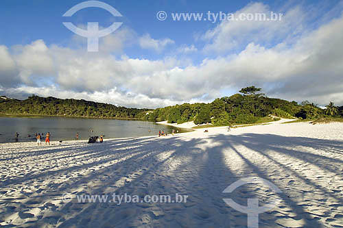  Lagoa Metropolitan Park  and Abaete Dunes - Salvador city - Bahia state - Brazil 