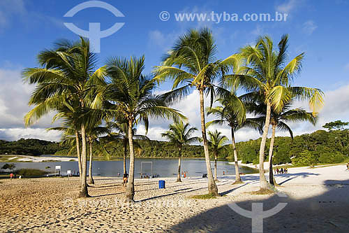  Lagoa e Dunas do Abaeté National Park - Bahia state - Brazil 