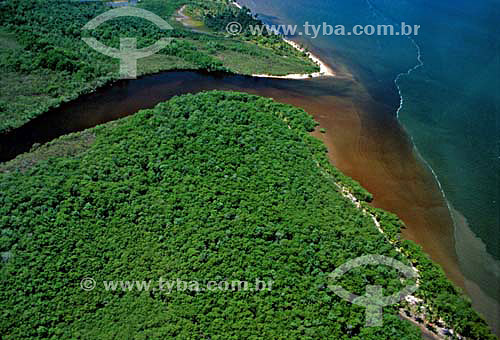  Aerial view of Morro de Sao Paulo mangrove - Bahia state - Brazil 