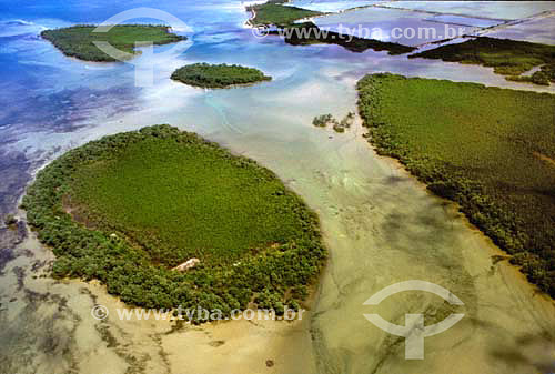  Aerial view of Morro de Sao Paulo mangrove - Bahia state - Brazil 