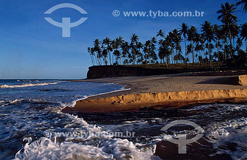  Barra do Cai - Bahia state - Brazil 