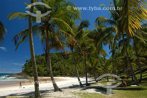  Prainha Beach, Itacare city - Bahia state - Brazil - January 2006 