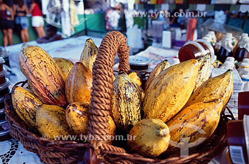  Basket with cocoa fruits - 