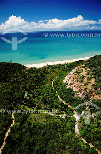  Aerial view of the Southern Coast of Bahia state, between Trancoso and Porto Seguro cities* -  Brazil  * The Costa do Descobrimento (Discovery Coast site, Atlantic Forest Reserve) is a UNESCO World Heritage Site since 12-01-1999 and includes 23 area 