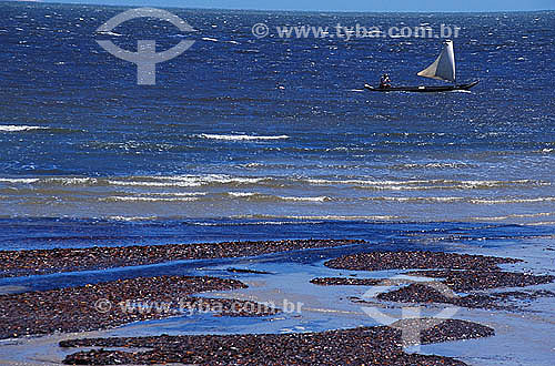  Coral reef in the foreground with a raft in the sea in the background - Santo Andre city  - Bahia state coast - Brazil  - Santo Andre city - Bahia state (BA) - Brazil