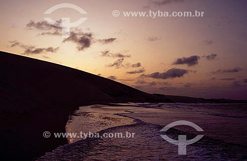  Dunes and the beach at sunset - Ceara state - Brazil 