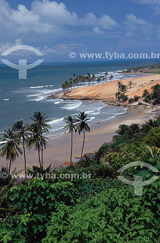  Aerial view of Lagoinha Beach - Ceara state - Brazil 