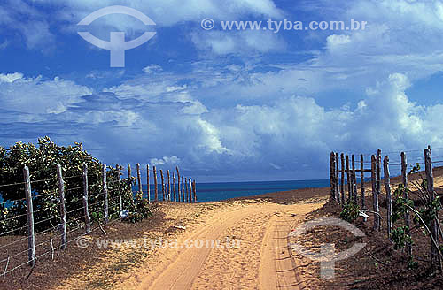  Small dirt road at Serrote place - Jericoacoara  - Ceara state - Brazil 