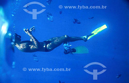  Man diving with mask and fins - Fernando de Noronha Island - Pernambuco state - Brazil 