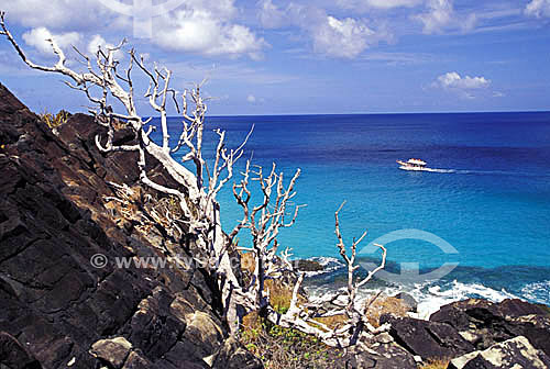  Coastline - FFernando de Noronha Island* - Pernambuco state - Brazil  * The archipelago Fernando de Noronha is a UNESCO World Heritage Site since 16-12-2001. 