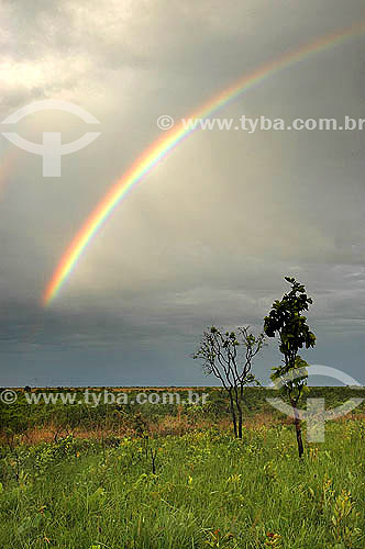  Rainbow at a field in Ema´s National Park - Cerrado Ecosystem - Goias state - Brazil 