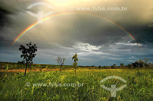  Rainbow at a field in  Ema´s National Park - Cerrado Ecosystem - Goias state - Brazil 