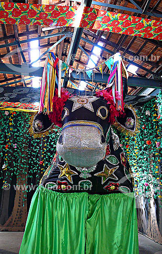  Bumba Meu Boi costumes - Ceprama -  Sao Luis city - Maranhao state - Brazil  