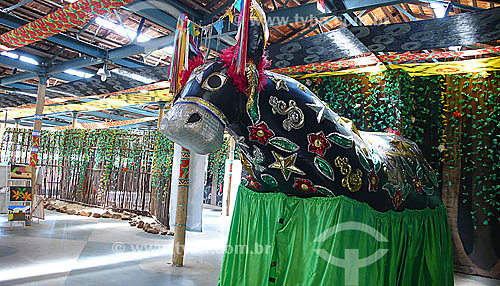  Bumba Meu Boi costumes - Ceprama -  Sao Luis city - Maranhao state - Brazil  