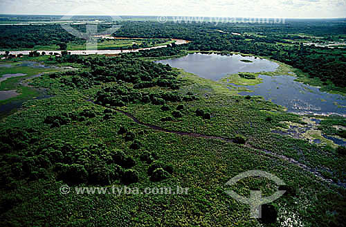  Aerial view of Pantanal in flood  - Mato Grosso State - Brazil 