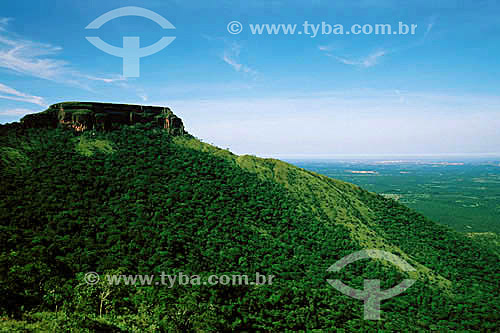  Chapada dos Guimaraes National Park - Mato Grosso State - Brazil 