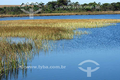  Lake - Mato Grosso do Sul state - Brazil 
