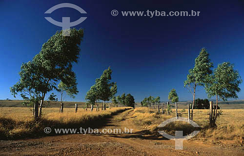  Dirt road  - Araxa - Minas Gerais state - Brazil 