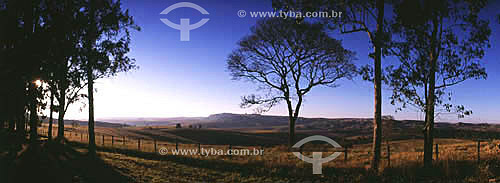  Dirt road to Tapira - Araxa - Minas Gerais state - Brazil 