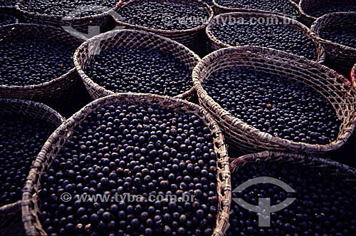  Baskets with açai fruit - Belem city - Para state - Brazil 