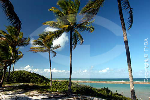  Muro Alto Beach - Pernambuco State - Brazil 