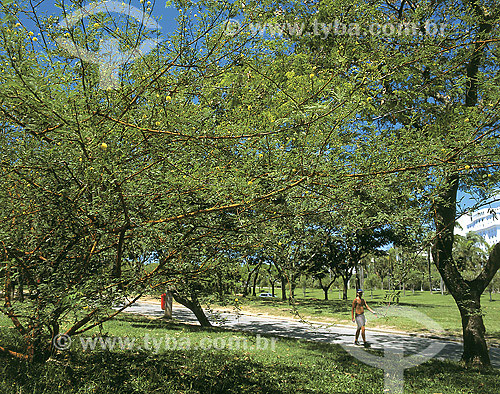  Bicycle pathway at Flamengo Park - Rio de Janeiro city - Rio de Janeiro state - Brazil 