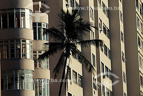  Architectural detail of buildings in the neighborhood of Copacabana with a palm tree in the foreground - Rio de Janeiro city - Rio de Janeiro state - Brazil 