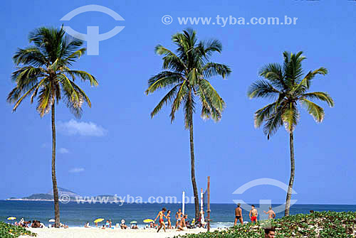  Three coconut trees and people at Ipanema beach - Rio de Janeiro city - Rio de Janeiro state - Brazil 