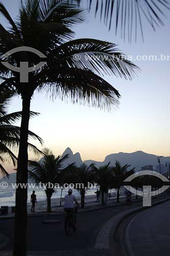  Silhouette of palm trees on Ipanema Beach at sunset with Morro Dois Irmaos (Two Brothers Mountain)* in the background - Rio de Janeiro city - Rio de Janeiro state - Brazil - October 2006  * The Gavea Rock and the Two Brothers Mountain are National H 