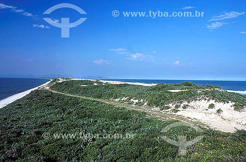  Restinga da Marambaia (Marambaia Coastal Plain), a cape which extends for 42 km at the southern end of the Rio de Janeiro city between the Atlantic Ocean and Sepetiba Bay, part of the Mata Atlantica Ecological Reserve - Rio de Janeiro city - Rio de  